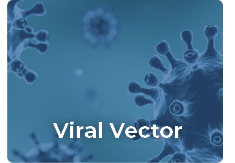 viral-vector